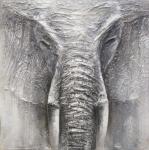  Original RIMBO 90x90 cm Motiv Elephant von Spiegelprofi  
