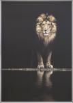 Gerahmtes Bild TAIRA 100x140 cm Motiv Colourful lion / Rahmen silberfarbig von Spiegelprofi  
