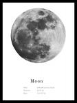  Gerahmtes Bild LORNA 30x40 cm schwarz Motiv: Moon von Spiegelprofi 
