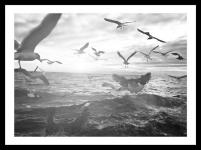  Gerahmtes Bild LORNA 30x40 cm schwarz Motiv: Birds von Spiegelprofi 