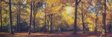  Leinwandbild CLEO 50x150 cm Motiv: Autumn forest von Spiegelprofi 