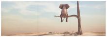  Leinwandbild CLEO 50x150 cm Motiv Lonely Elephant von Spiegelprofi  