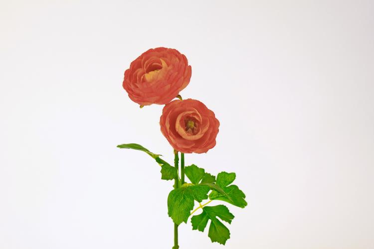  Kunstblume 4er Set Ranunkel 49,5 cm lang apricot von Werner Voss 